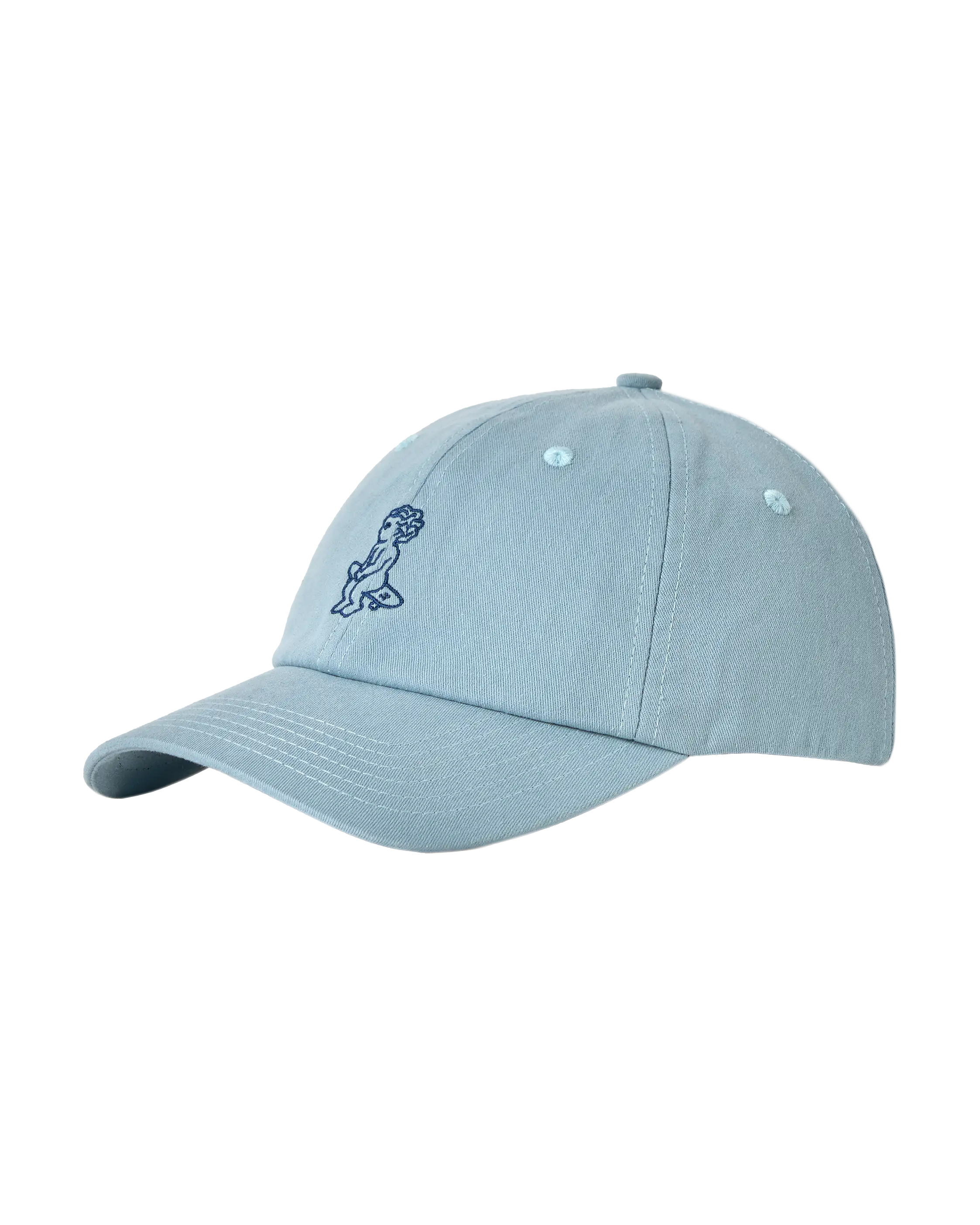 Ikon Cotton Cap