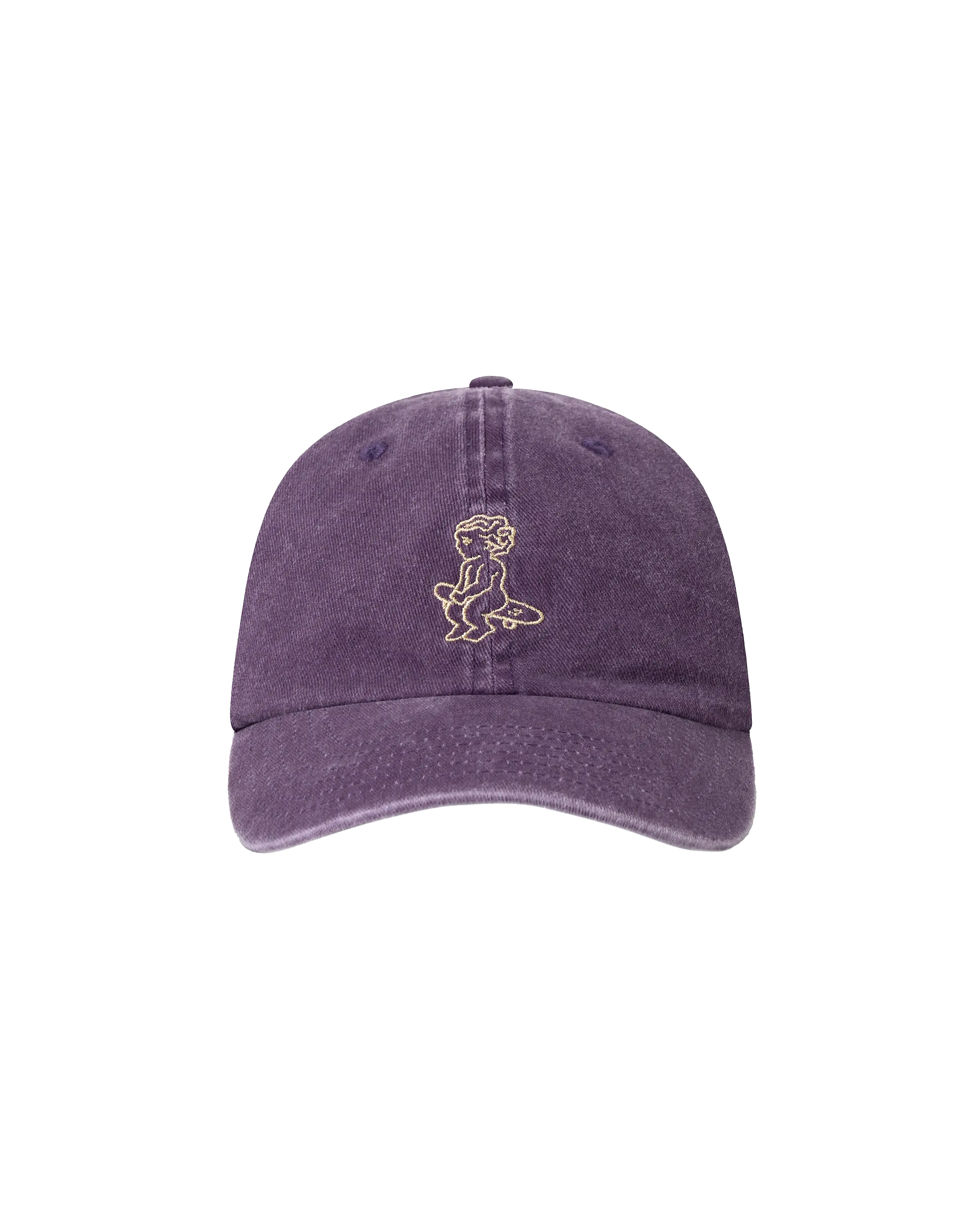 Acai washed cotton cap with embroidered ikon logo on front